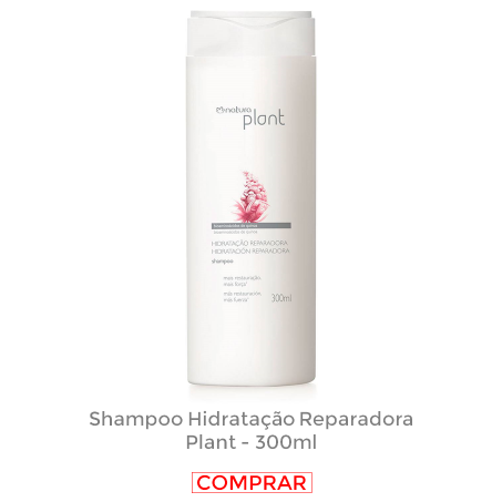 Shampoo Hidratação Reparadora Plant – Rosa e Maria Beleza e Cuidados  Pessoais